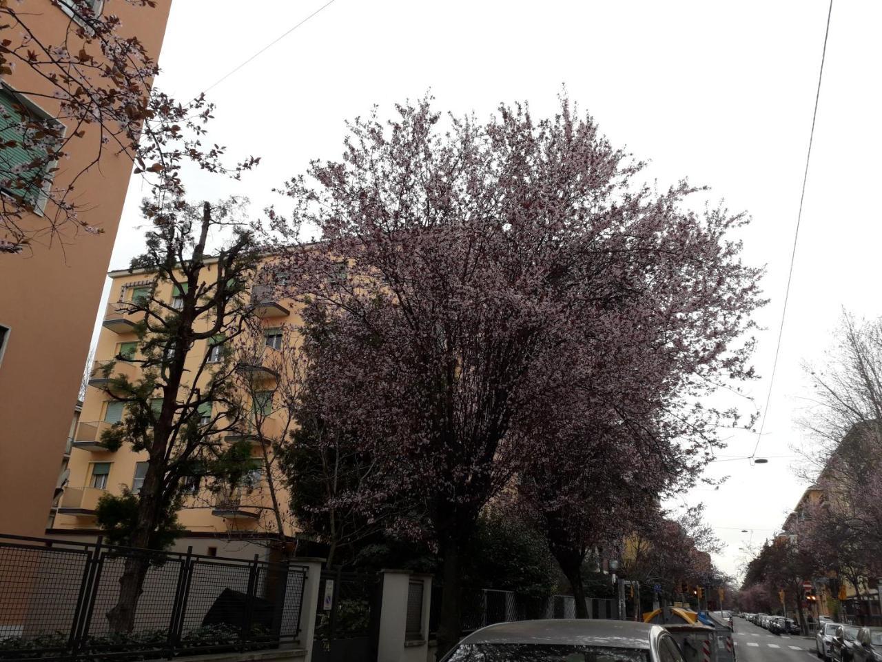 Sant'Orsola Bologna Appartamento Exteriér fotografie